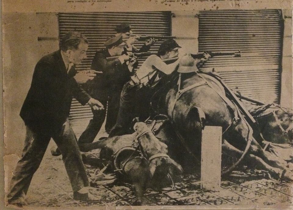 10405496_1616797561898694_5555917254033570991_n