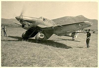 el-stuka-d-ela-cerdita